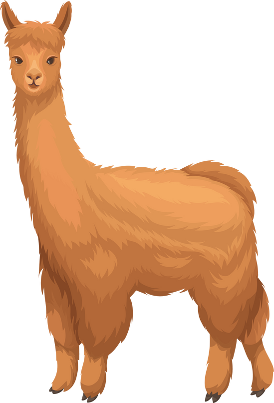 Alpaca in caroon style