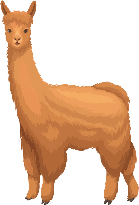 Alpaca in caroon style